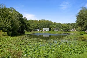 12368 Witheridge Dr, Tampa, FL 33624, Sold 11/09/21