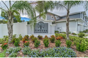 2152 Laceflower Dr, Brandon, FL 33510, Sold 11/22/21