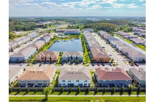 3229 Painted Blossom Ct, Lutz, FL 33558, Sold 11/26/21