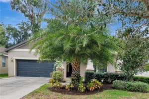 11803 Twilight Darner Pl, Riverview, FL 33569, Sold 11/23/21