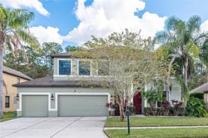 10840 Rain Lilly Pass, Land O' Lakes, FL 34638, Sold 02/24/22