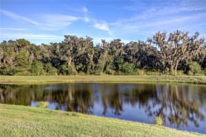 11116 Purple Martin Blvd, Riverview, FL 33579, Sold 12/16/21
