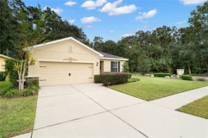8606 Tidal Breeze Dr, Riverview, FL 33569, Sold 12/23/21