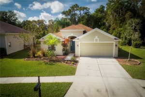 10716 Moss Island Dr, Riverview, FL 33569, Sold 12/30/21