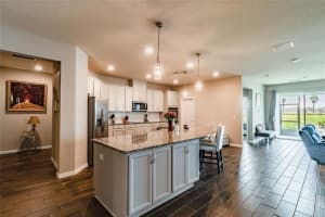 11923 Tetrafin Dr, Riverview, FL 33579, Sold 12/22/21