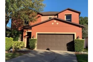 11110 Rising Mist Blvd, Riverview, FL 33578, Sold 04/14/22