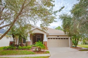 5148 Pheasant Woods Dr, Lutz, FL 33558, Sold 02/23/22
