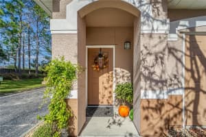 18034 Villa Creek Dr, Tampa, FL 33647, Sold 12/29/21