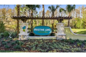 21746 AMELIA ROSE WAY, LAND O LAKES, FL 34637 Sold 08/29/22