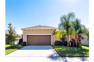 10243 Strawberry Tetra Dr, Riverview, FL 33578, Sold 01/19/22