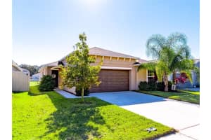 10243 Strawberry Tetra Dr, Riverview, FL 33578, Sold 01/19/22