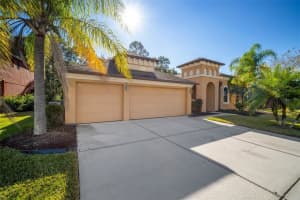 10746 Rain Lilly Pass, Land O' Lakes, FL 34638, Sold 02/01/22