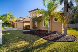 10746 Rain Lilly Pass, Land O' Lakes, FL 34638, Sold 02/01/22