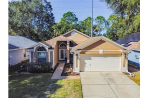 8526 Manassas Rd, Tampa, FL 33635, Sold 03/23/22