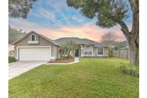 11630 Wellman Dr, Riverview, FL 33578, Sold 01/20/22