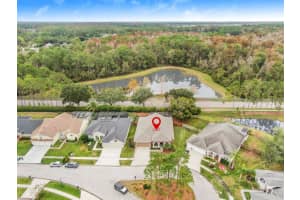 12562 Leatherleaf Dr, Tampa, FL 33626, Sold 01/20/22