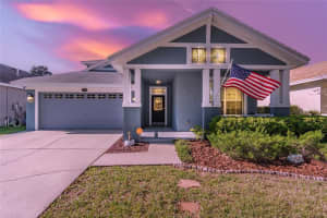 18120 Fall Creek Dr, Lutz, FL 33558, Sold 02/16/22
