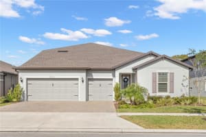 19113 Perennial Rose Ave, Lutz, FL 33558, Sold 02/07/22