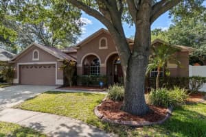 10228 Ashley Oaks Dr, Riverview, FL 33578, Sold 01/27/22