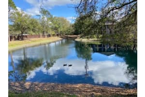 14727 Norwood Oaks Dr, Tampa, FL 33613, Sold 02/01/22