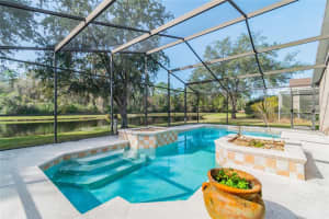 12506 Loquat Way, Tampa, FL 33626, Sold 02/18/22