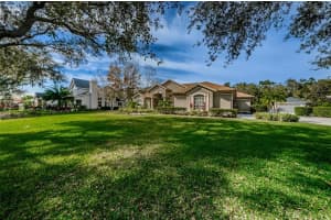 6115 Wild Orchid Dr, Lithia, FL 33547, Sold 03/03/22