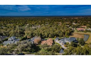 6115 Wild Orchid Dr, Lithia, FL 33547, Sold 03/03/22