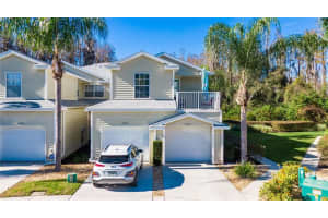 1831 Hammocks Ave, Lutz, FL 33549, Sold 03/03/22