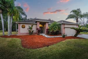 3901 Sandalwood Dr, Land O' Lakes, FL 34639, Sold 03/03/22