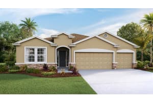 35920 MORSE WILLOW CT, ZEPHYRHILLS, FL 33541 Sold 09/19/22
