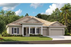 14146 SWISS BRIDGE DR, RIVERVIEW, FL 33579 Sold 08/31/22