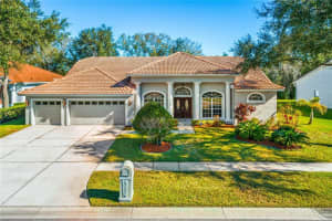 17216 Equestrian Trail, Odessa, FL 33556, Sold 02/28/22