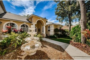6301 Wild Orchid Dr, Lithia, FL 33547, Sold 03/21/22