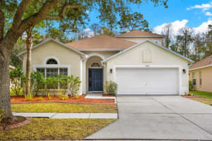 15927 Leatherleaf Ln, Land O' Lakes, FL 34638, Sold 03/04/22