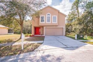 6553 Tabogi Trail, Wesley Chapel, FL 33545, Sold 03/18/22