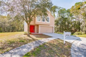 6553 Tabogi Trail, Wesley Chapel, FL 33545, Sold 03/18/22