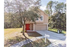 6553 Tabogi Trail, Wesley Chapel, FL 33545, Sold 03/18/22