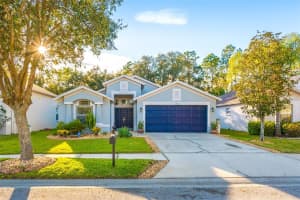 6719 Bluff Meadow Ct, Wesley Chapel, FL 33545, Sold 02/25/22