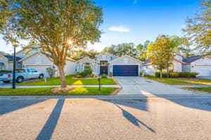 6719 Bluff Meadow Ct, Wesley Chapel, FL 33545, Sold 02/25/22