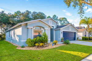 6719 Bluff Meadow Ct, Wesley Chapel, FL 33545, Sold 02/25/22