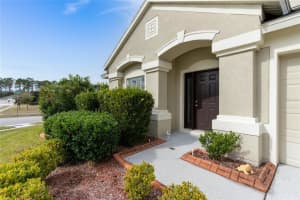 30345 Arrochar St, Wesley Chapel, FL 33545, Sold 02/23/22