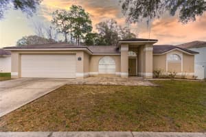 24241 Painter Dr, Land O' Lakes, FL 34639, Sold 03/15/22
