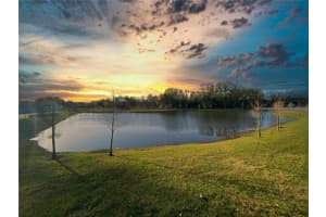 2946 Rambler Ivy Lp, Brandon, FL 33510, Sold 03/25/22
