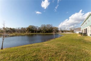 2946 Rambler Ivy Lp, Brandon, FL 33510, Sold 03/25/22