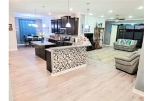 10019 Celtic Ash Dr, Ruskin, FL 33573, Sold 03/25/22