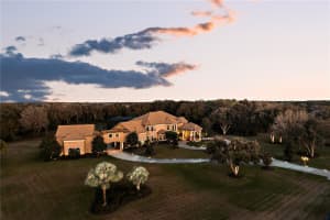 11438 HAMMOCK OAKS CT, LITHIA, FL 33547 Sold 08/19/22