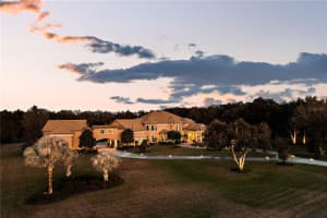 11438 HAMMOCK OAKS CT, LITHIA, FL 33547 Sold 08/19/22