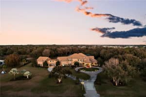 11438 HAMMOCK OAKS CT, LITHIA, FL 33547 Sold 08/19/22