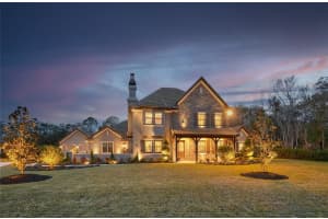 19122 Magnolia Farms Ln, Odessa, FL 33556, Sold 05/02/22