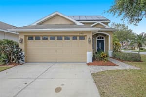 21039 GREEN WING CT, LAND O LAKES, FL 34637 Sold 05/05/23